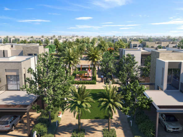 Properties in Raya