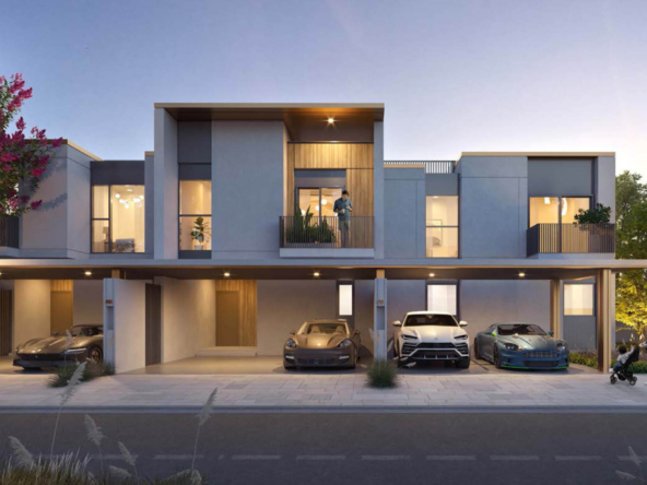 Properties in Raya
